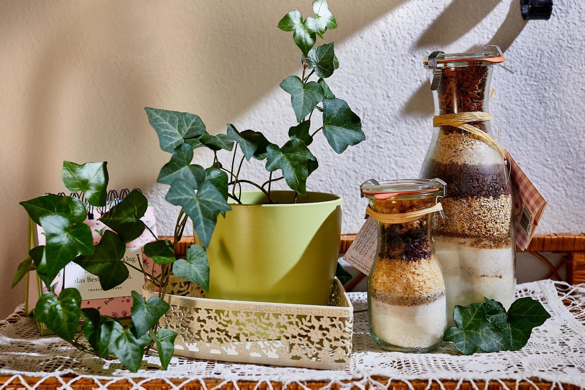 Ferienhaus Zur Maultrommel Molln エクステリア 写真